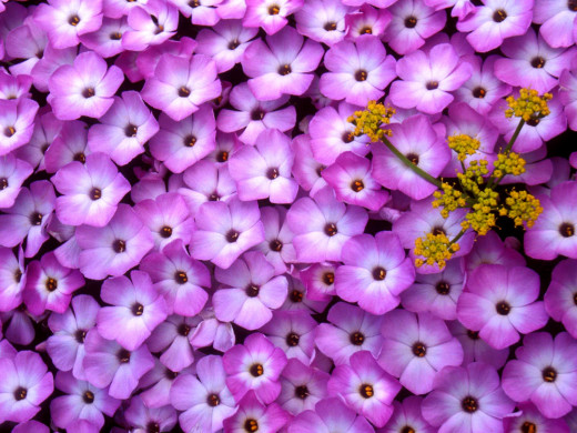 425857 (a): :1600x1200